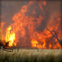 A Blue Perspective: Support victims of the Victorian bushfires with Sitepoint